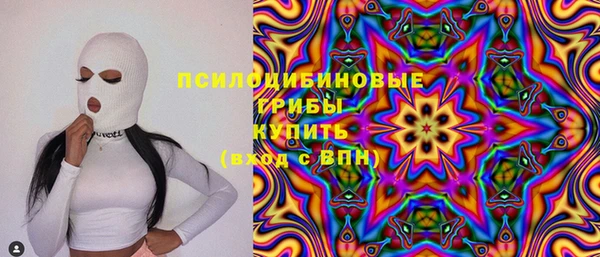 дмт Алексин