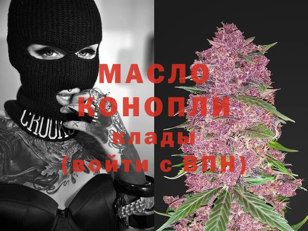 дмт Алексин