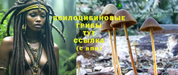 дмт Алексин