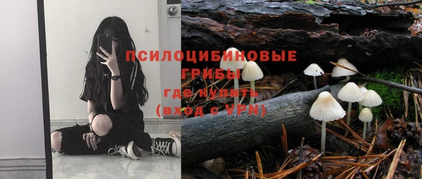 экстази Алексеевка