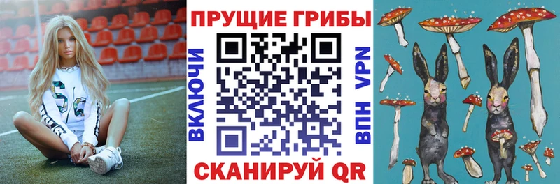 Галлюциногенные грибы мицелий Обоянь
